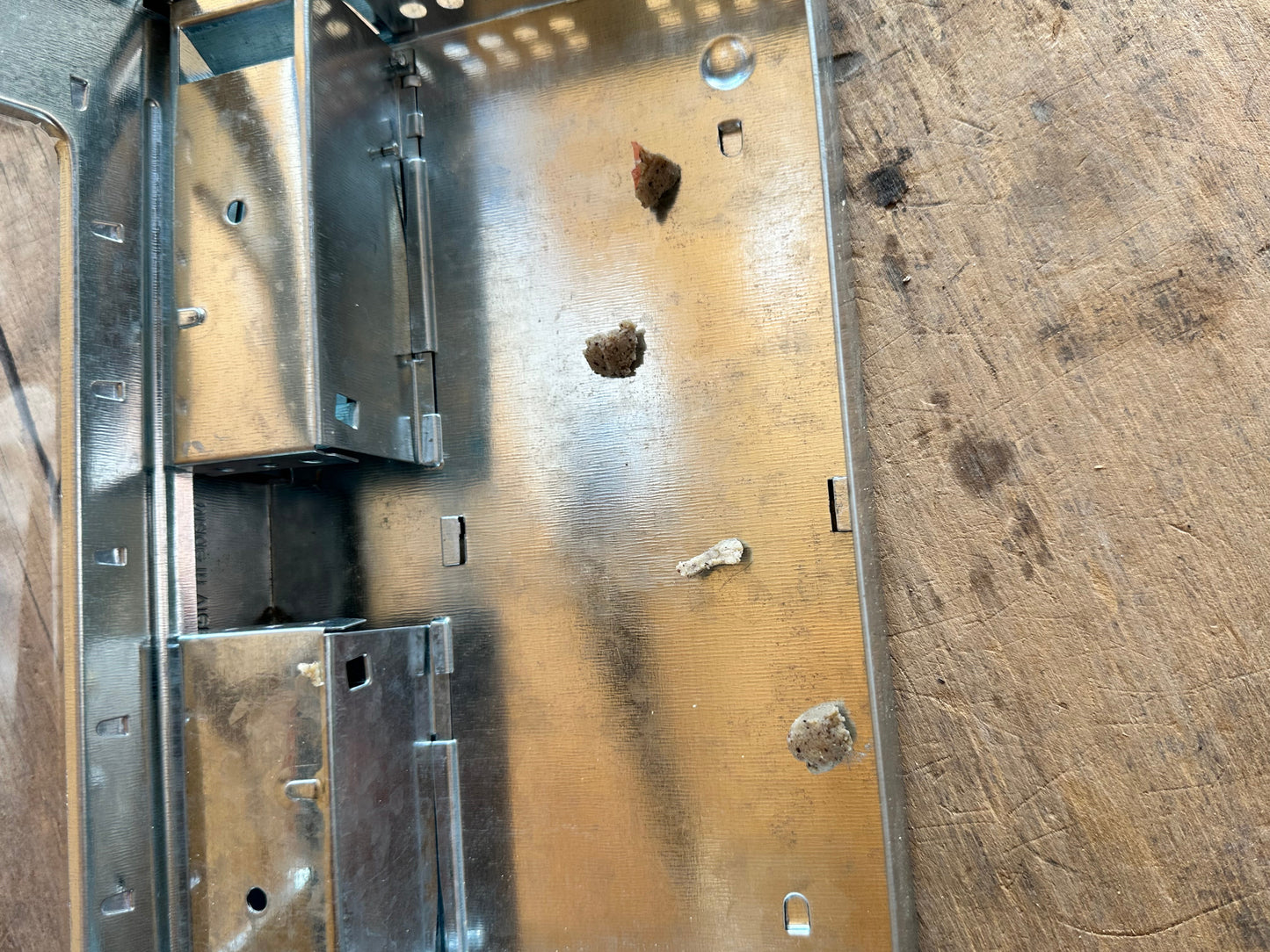 JT EATON Catch and Release Mouse Bait Station