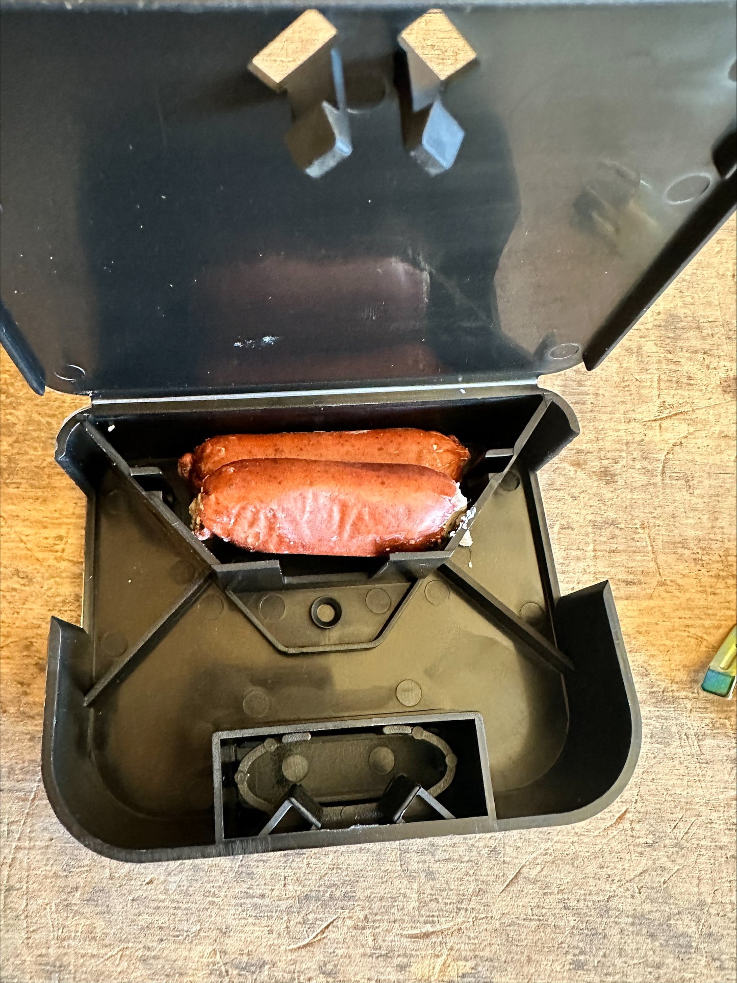 Mouse Bait Station