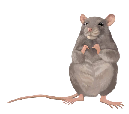 Why Rats Are Here to Stay