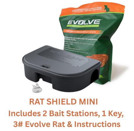 Starter Kits for Rats
