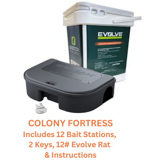 Starter Kits for Rats