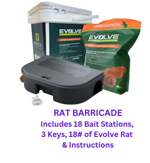 Starter Kits for Rats