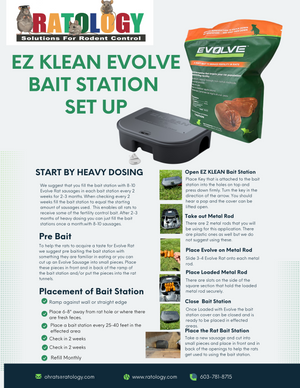 Evolve Rat Starter Kit