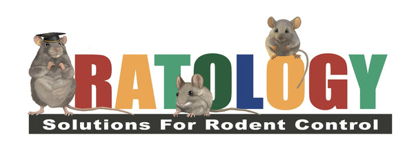 Ratology